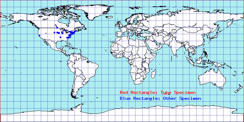 Aradus robustus coordinates