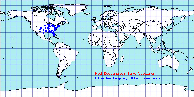 Archasia auriculata coordinates