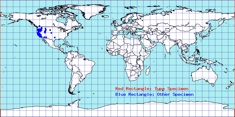 Arhyssus scutatus coordinates