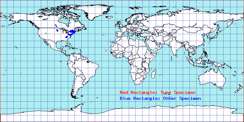 Athysanus argentarius coordinates