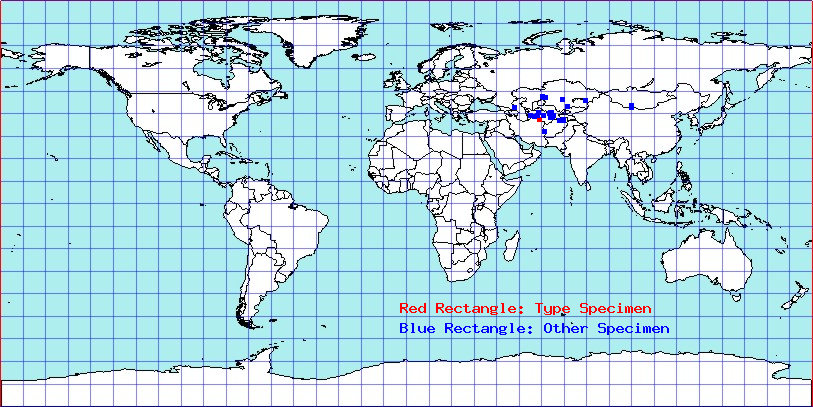 Atomophora oculata coordinates