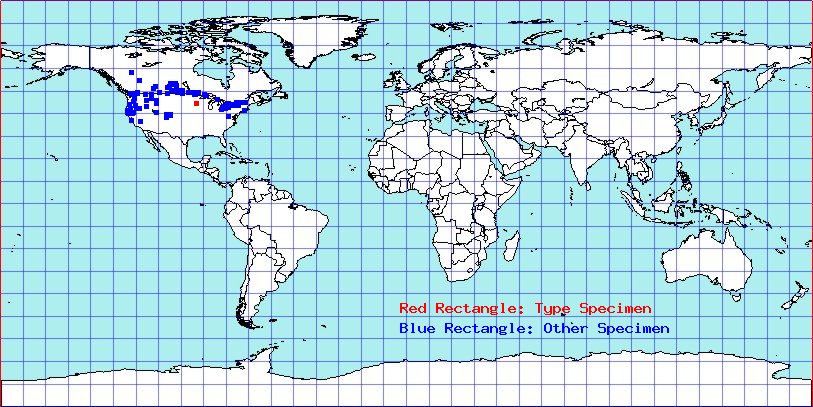Atractotomus atricolor coordinates