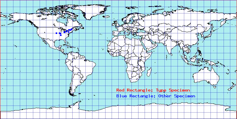 Atractotomus rubidus coordinates