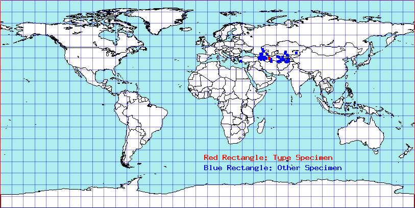 Auchenocrepis reuteri coordinates