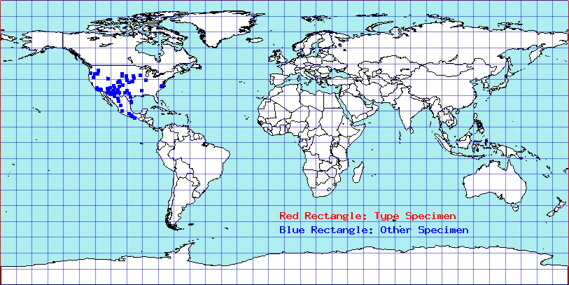 Aufeius impressicollis coordinates