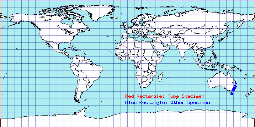 Ausejanus vividus coordinates