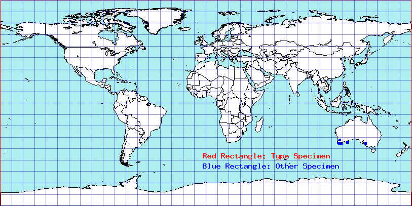 Austrocapsus martigena coordinates