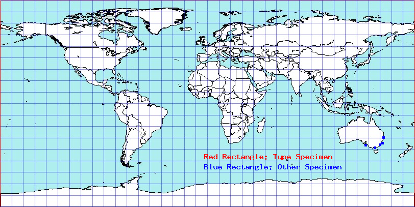Austromiris viridissimus coordinates