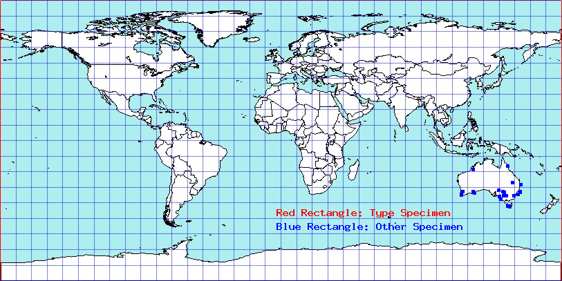 Blesingia fasciatipennis coordinates