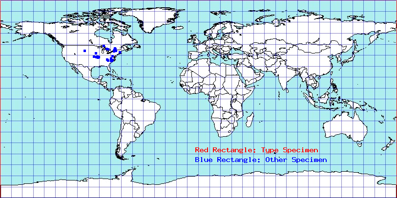 Bolteria luteifrons coordinates