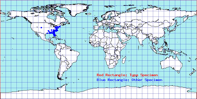 Brochymena carolinensis coordinates