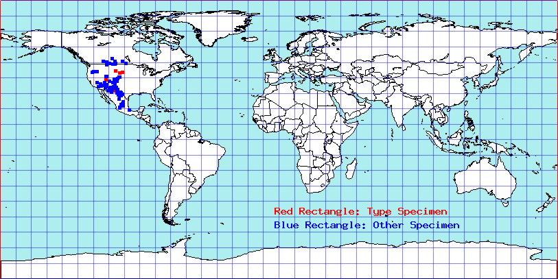 Brooksetta chelifer coordinates