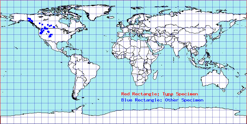 Brooksetta viridicata coordinates