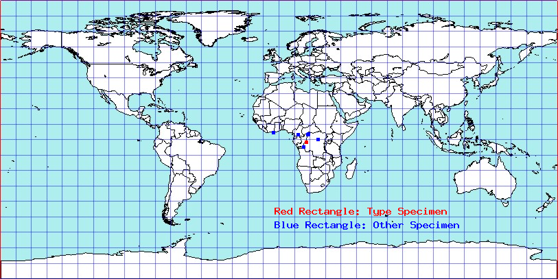 Bryocoropsis soror coordinates