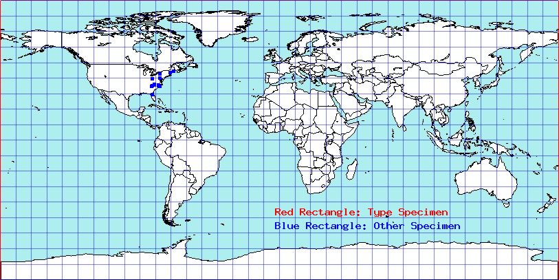 Calaphis alni coordinates
