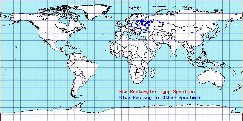 Calocoris roseomaculatus coordinates