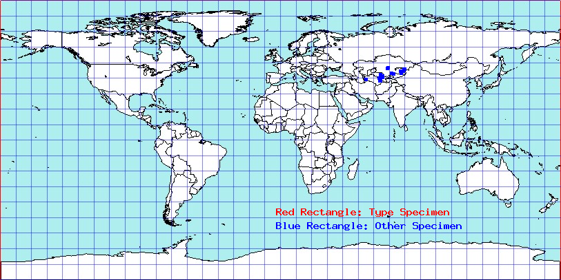 Camptotylidea alba coordinates