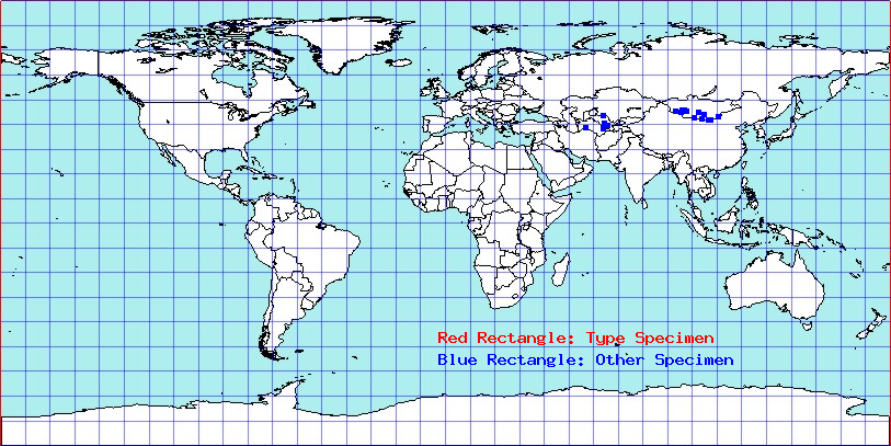 Camptotylidea flavescens coordinates