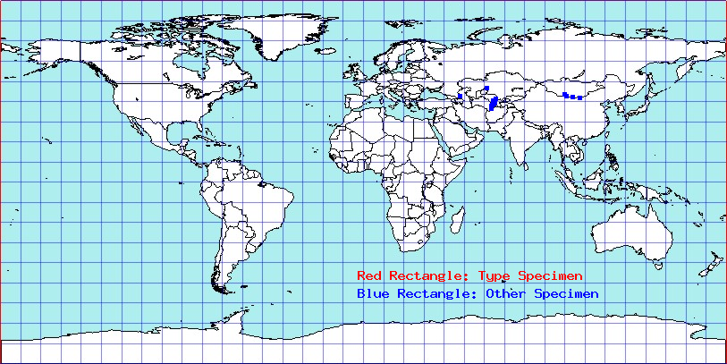 Camptotylidea fuscomaculata coordinates