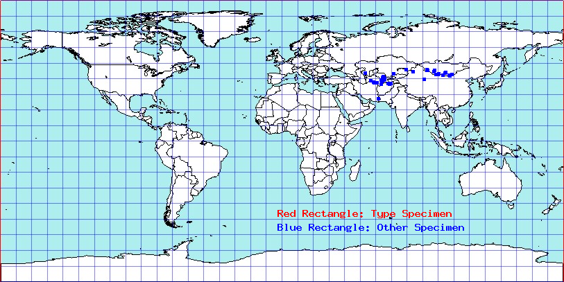 Camptotylidea suturalis coordinates