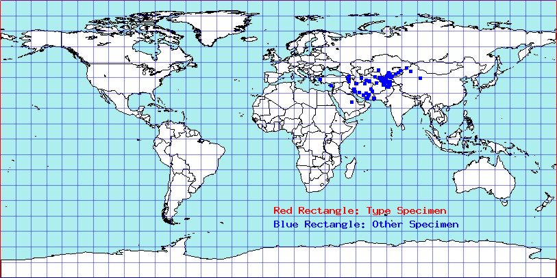Campylomma diversicornis coordinates