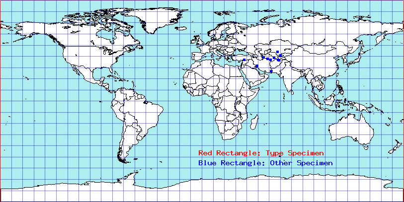 Campylomma nigronasuta coordinates