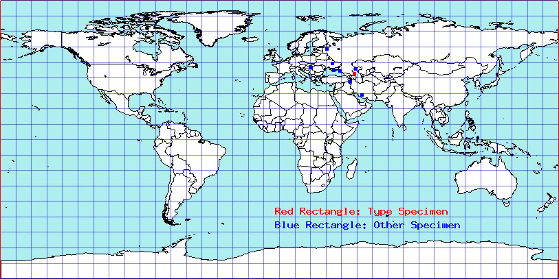 Campylomma simillima coordinates