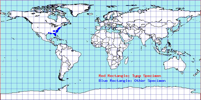 Catonia picta coordinates