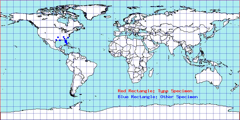Ceratocapsidea balli coordinates