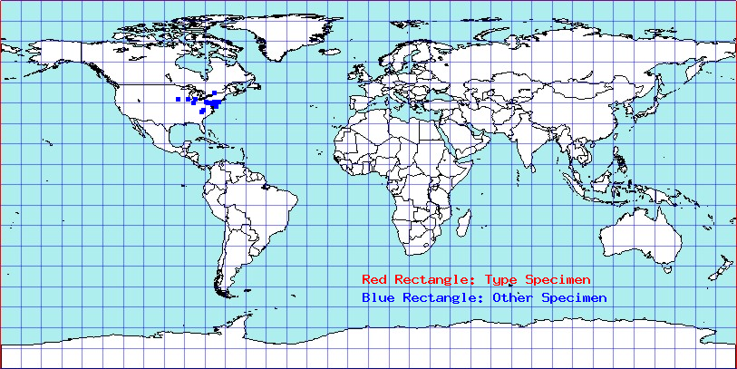 Ceratocapsus luteus coordinates