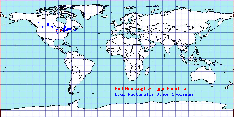 Ceratocapsus nigrocephalus coordinates