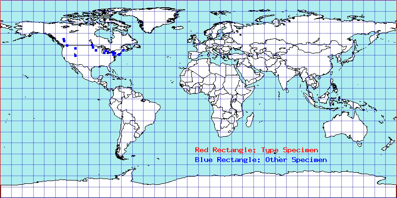 Chaitophorus stevensis coordinates