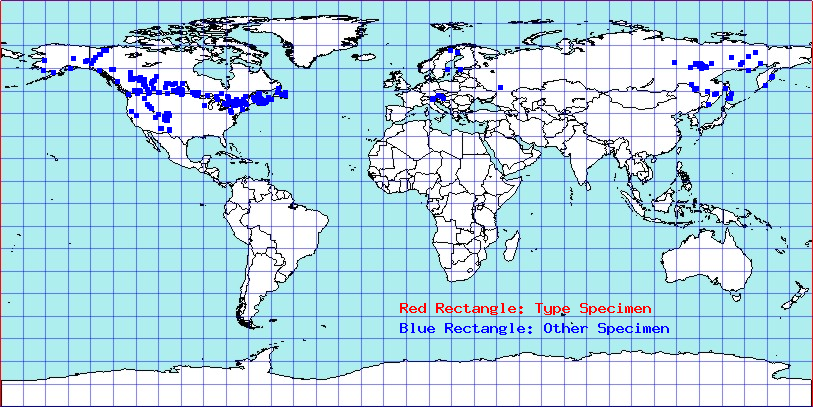 Chlamydatus pulicarius coordinates