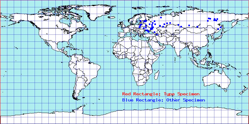 Chlamydatus saltitans coordinates