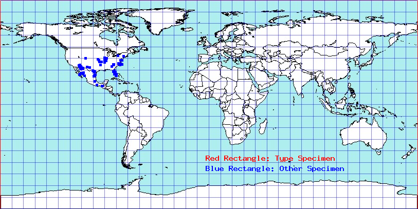 Chlamydatus suavis coordinates