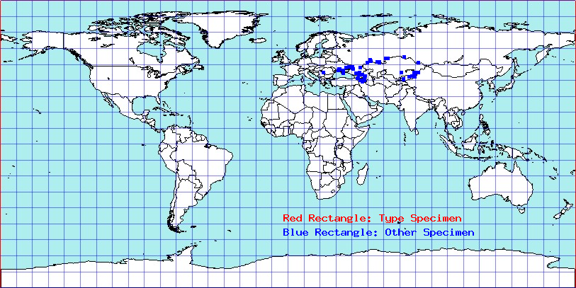 Chlorillus pictus coordinates