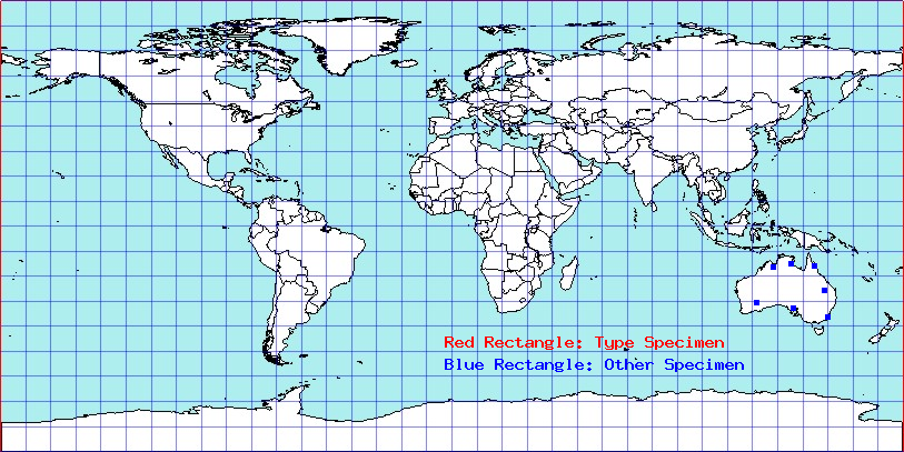 Choerocoris paganus coordinates
