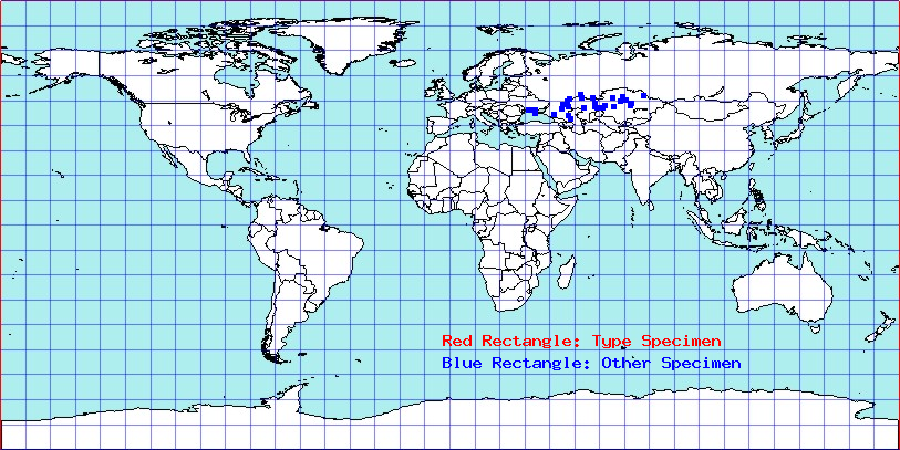 Chorosomella jakowleffi coordinates