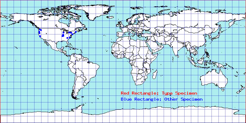 Eriosoma ulmi coordinates