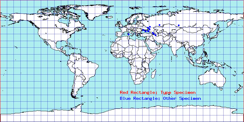 Globiceps sphaegiformis coordinates