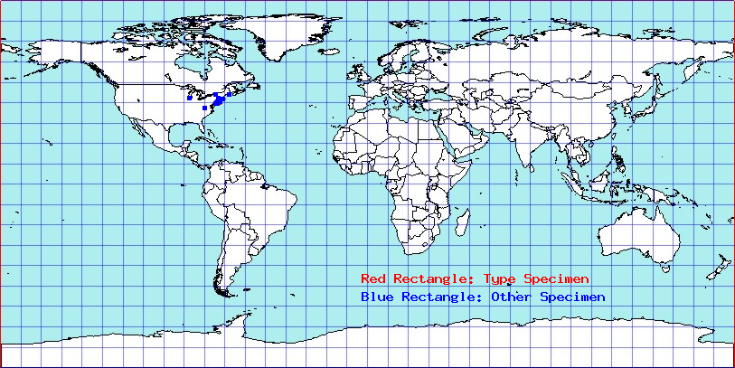 Glossonotus nimbatulus coordinates