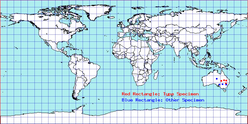 Hypseloecus paramyemi coordinates