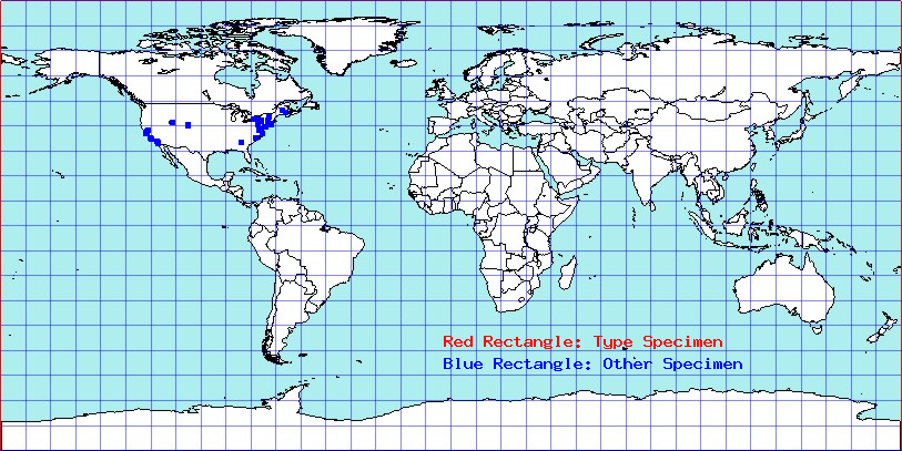 Ovatus crataegarius coordinates