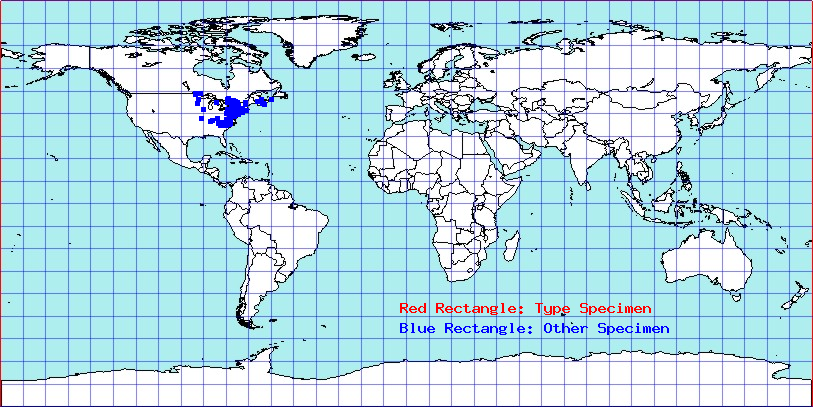 Phoenicocoris strobicola coordinates
