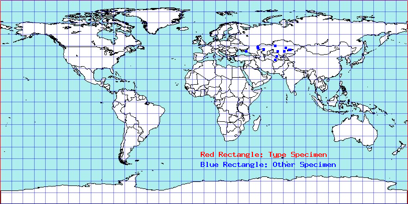 Psallopsis longicornis coordinates