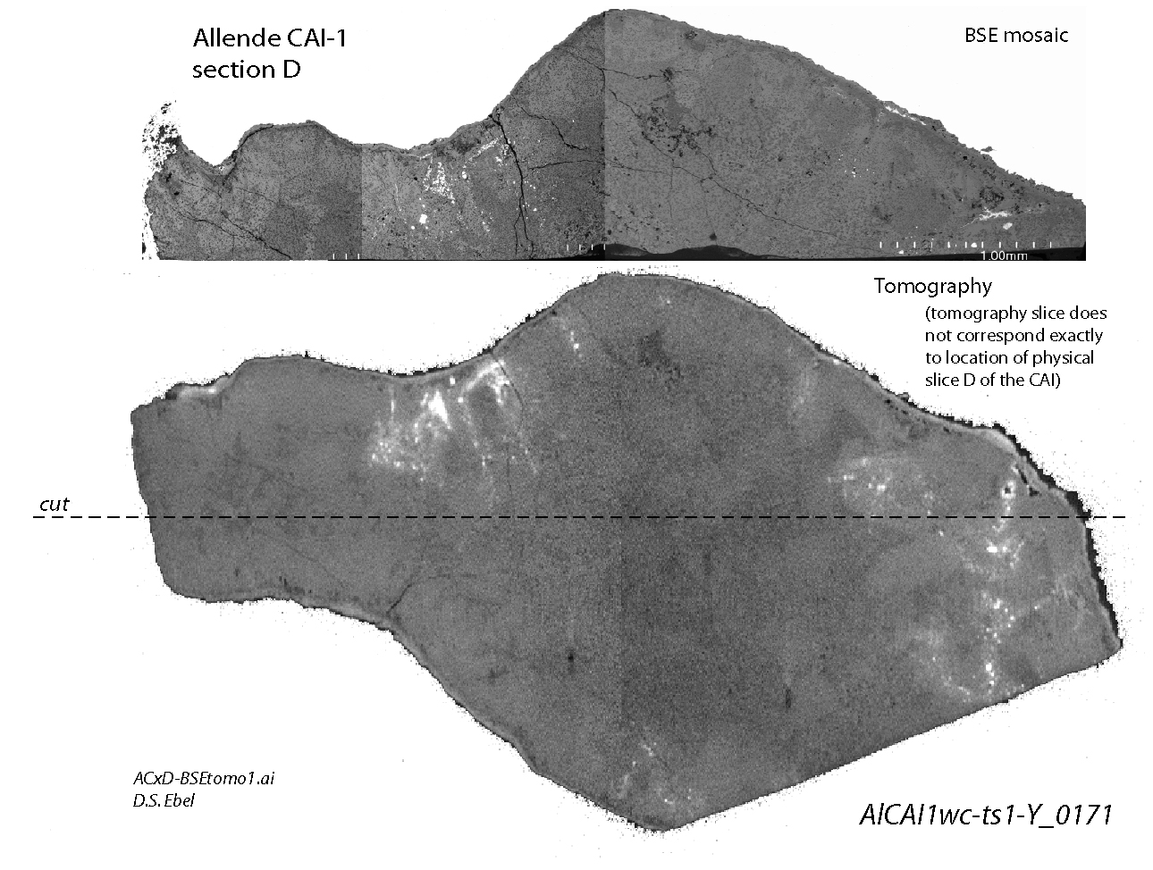 BSE and Tomo - JPG 150dpi