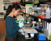Angelica Cibrian Jaramillo in the lab