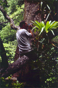 George Amato in Dominica