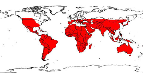 approximate world distribution of scorpions